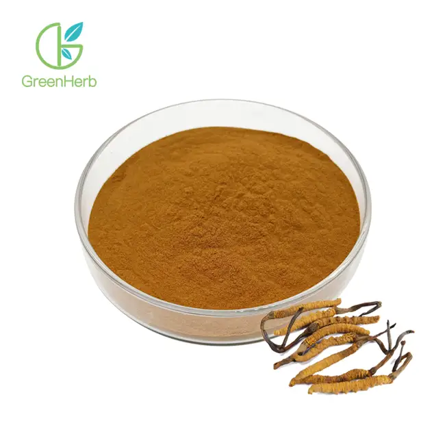 Cordyceps Powder